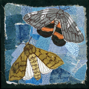 #16 Magic of Moths: Ultronia Underwing Moth + Isabella Tiger Moth - Michele Pollock