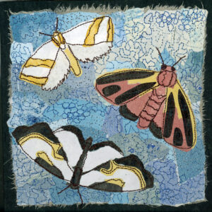 #17 Magic of Moths: Xanthophysa Moth + Painted Lichen Moth + Beautiful Wood-nymph Moth - Michele Pollock