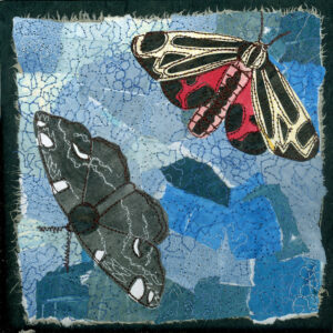 #20 Magic of Moths: Harnessed Tiger Moth + Oak Beauty Moth - Michele Pollock