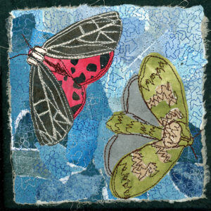 #22 Magic of Moths: Virgin Tiger Moth + Wavy-lined Heterocampa Moth - Michele Pollock