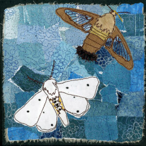 #24 Magic of Moths: Hummingbird Clearwing Moth + Virginia Tiger Moth - Michele Pollock