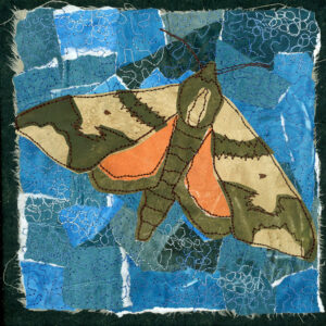 #25 Magic of Moths: Virginia Creeper Sphinx Moth - Michele Pollock
