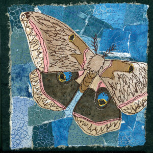 #30 Magic of Moths: Polyphemus Moth - Michele Pollock