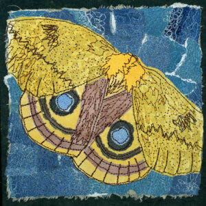 #4 Magic of Moths: Io Moth - Michele Pollock