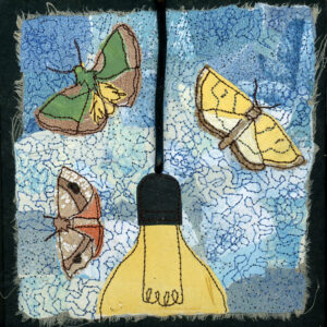 #13 Magic of Moths: Stinging Rose Caterpillar Moth + Xanthophysa Moth + Orange-wing Moth - Michele Pollock