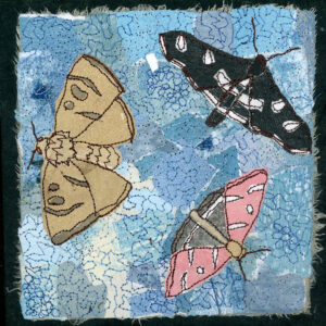 #14 Magic of Moths: Grape Leaffolder Moth + American Dun-Bar Moth + Raspberry Pyrausta Moth - Michele Pollock