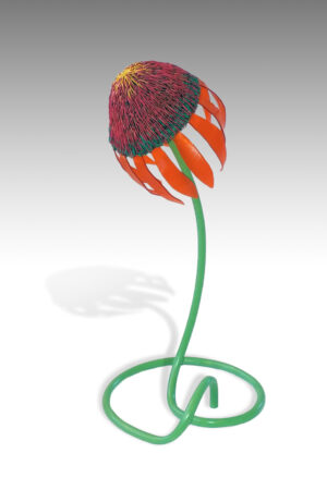 Cone Flower - Bonnie Kuhr