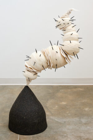 Pupa - Mary Duman