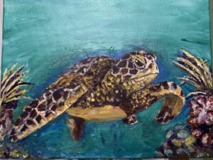 Turtle - Audra Ford