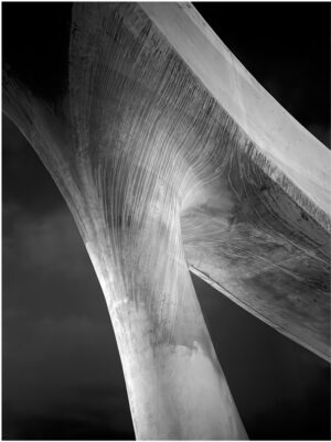 Tonal Ridges - Robert Gideon