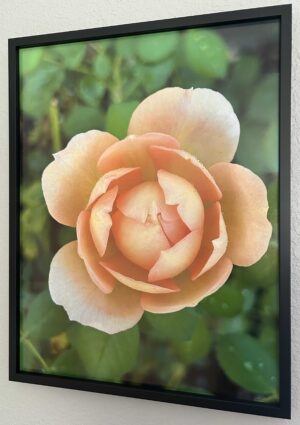 Almost there my Lady (of Shallot) - Bradley Lakritz