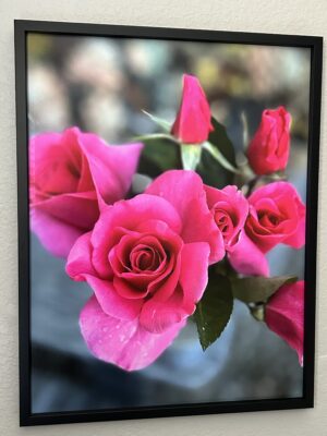 Cinderella steps up to the glass slipper - Bradley Lakritz