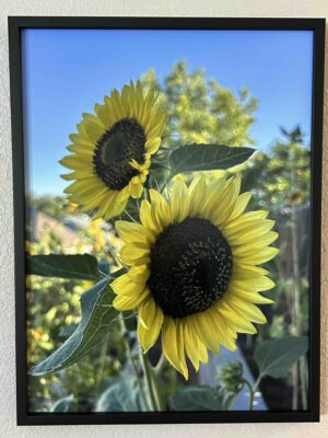 Different perspectives - Bradley Lakritz