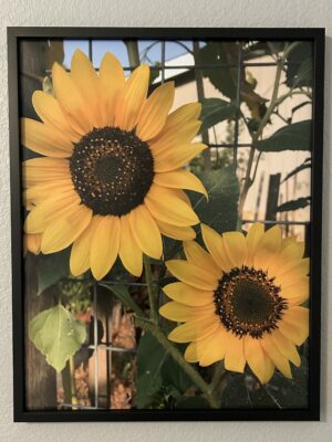 Duet - Bradley Lakritz