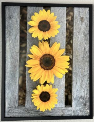 Friends forever - Bradley Lakritz