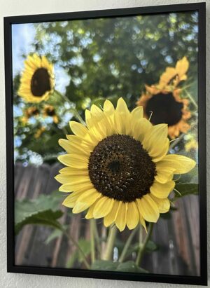 My true colors - Bradley Lakritz