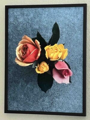 Roses in blue - Bradley Lakritz