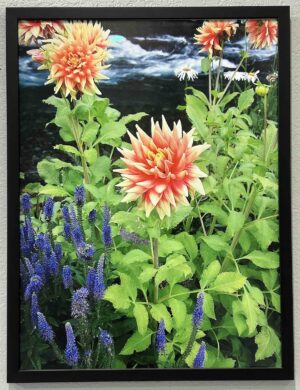 The flowers on the McKenzie River  - Bradley Lakritz