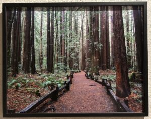 This way - Bradley Lakritz