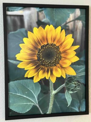 Today’s forecast is for sunshine - Bradley Lakritz