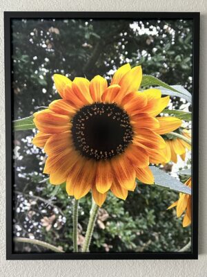 Warm and fuzzy - Bradley Lakritz