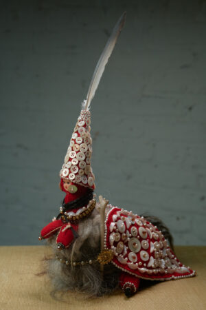 Fancy Pigeon - Jori Jori