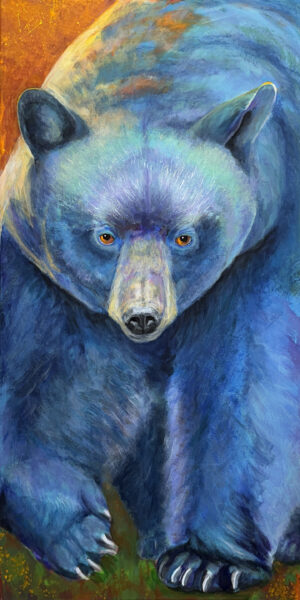Black Bear - Paula Bellacera