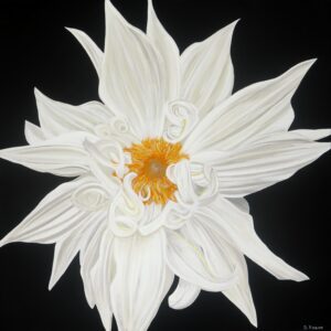 White Dahlia - Sharon Hagan
