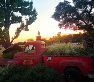 High Hand Food Growers Red Truck - Rose King