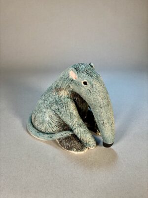 Nosy Anteater - Pamela Kinzie