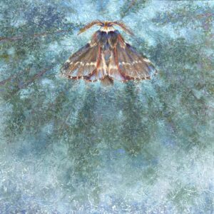 Alight in Winter - Connie McLennan