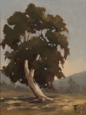 Sunset Whitney, Eucalyptus #1 - Cristina Tsuji