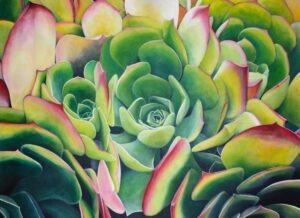 Sandia - Tara Esperanza