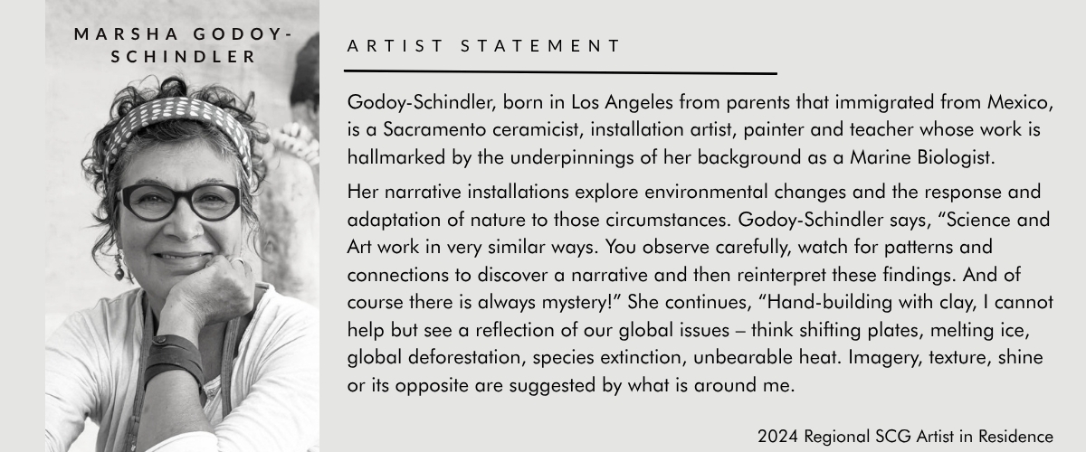 Marsha Schindler Artist Statement
