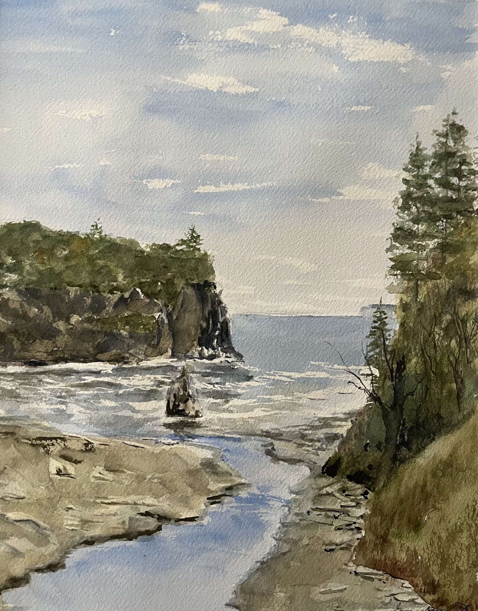 Passage to the Pacific - Ginger Barrett