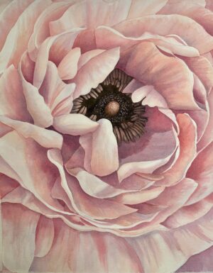 Peony I - Diane Tharp
