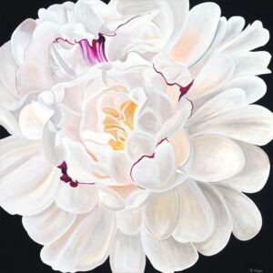 Festiva Maxima Peony - Sharon Hagan