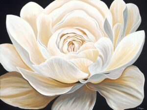 Glorious White and Gold Rose - Sharon Hagan