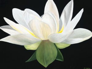 Grand Magnolia - Sharon Hagan