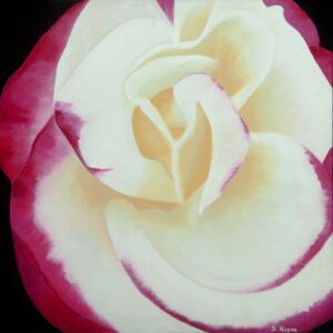 My Favorite Rose - Sharon Hagan