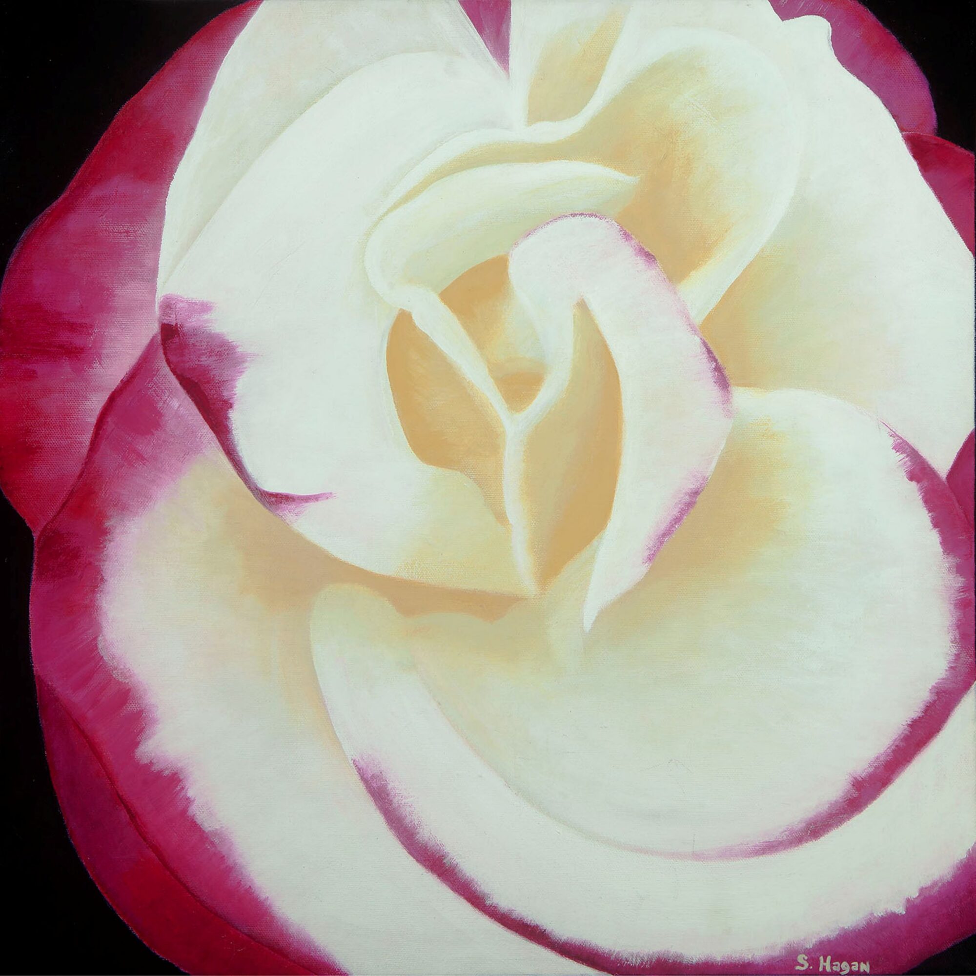 My Favorite Rose - Sharon Hagan