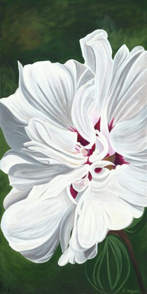 White and Fushia Rose Lily - Sharon Hagan