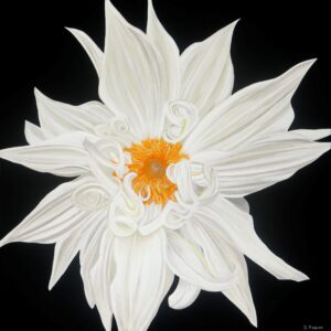Dahlia - Sharon Hagan