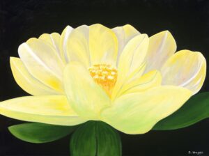 Yellow Lotus - Sharon Hagan