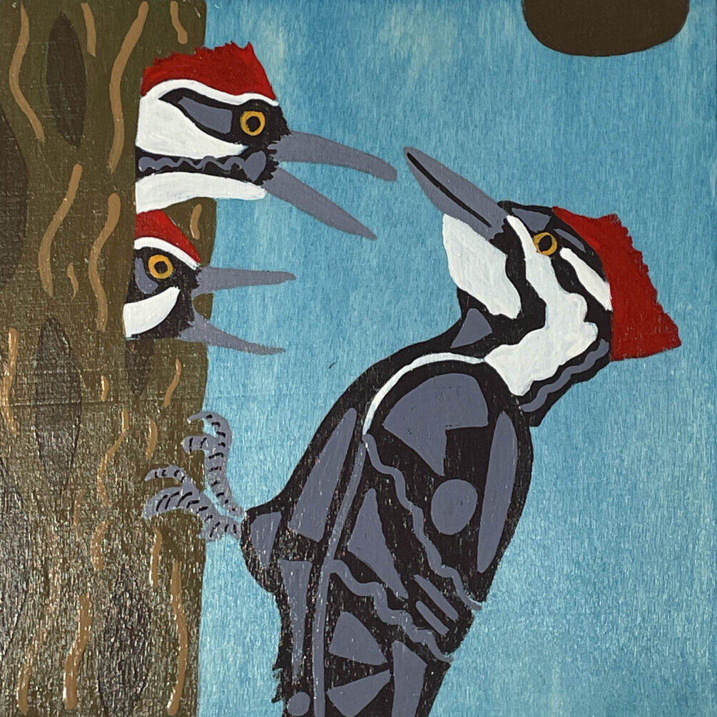 #12Breakout.Woodpecker.RobinMartinezRice