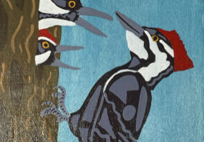 #12Breakout.Woodpecker.RobinMartinezRice