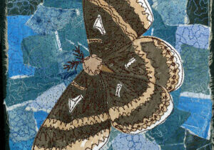 Day 28 Tuliptree Silk Moth